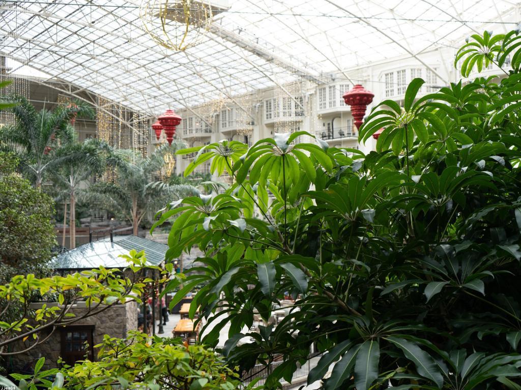 យុទ្ធសាស្ត្រសម្រាប់ការលូតលាស់អាជីវកម្ម