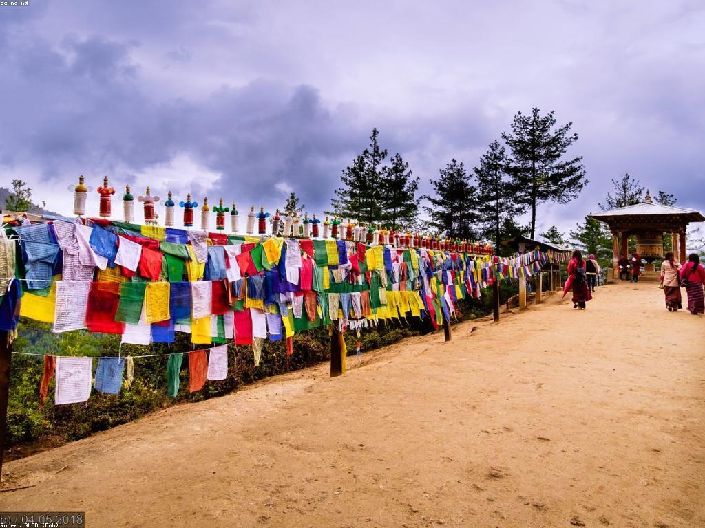 រកឃើញចំណូលចិត្តរបស់អ្នក