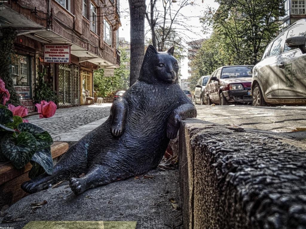 ការយល់ដឹងអំពីចំណូលចិត្តរបស់អ្នក