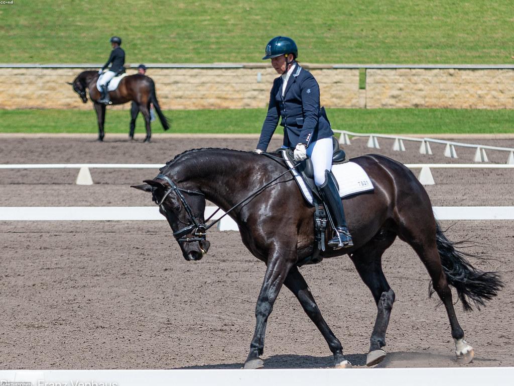 ការពិពណ៌នាអំពីព្រឹត្តិការណ៍ និងការប្រកួត